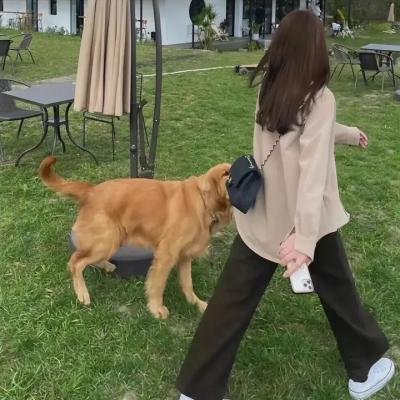 旁观者的心