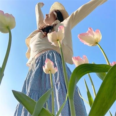 飞鹰人